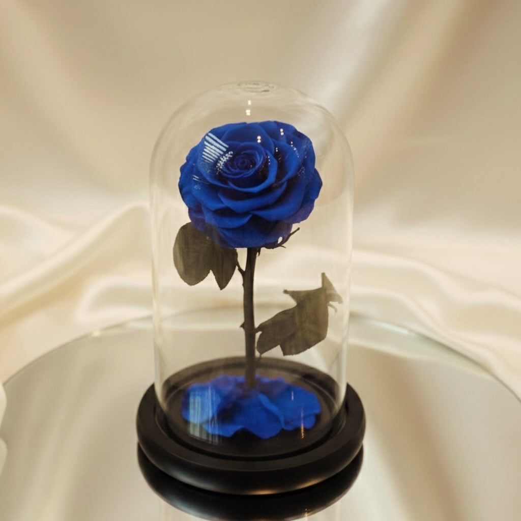 LA BELLE ROSE ROYAL COLOR