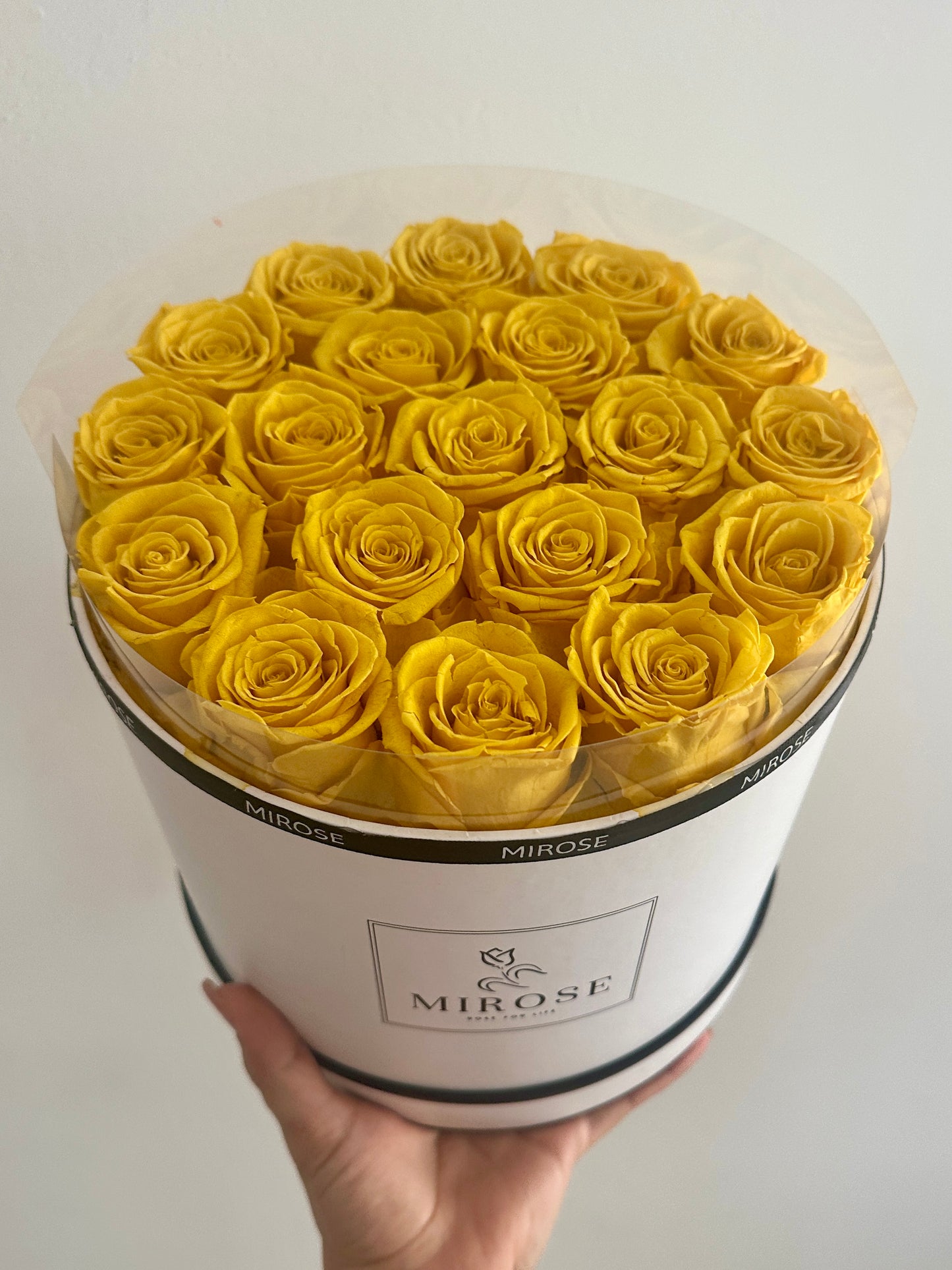Large round 19 eternal roses