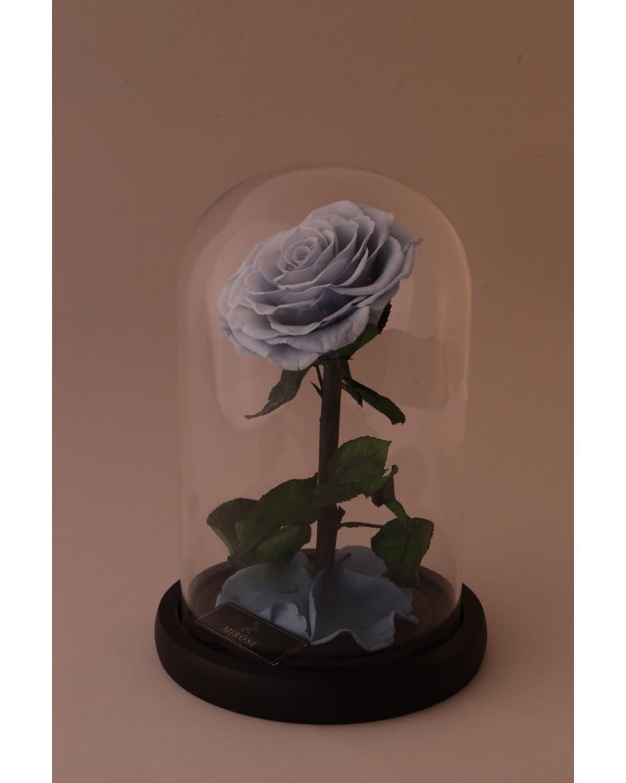 Mirose Eternal Rose Dusty Blue La Belle Rose