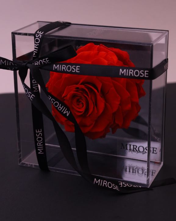 Mirose Eternal Rose Red Mirror Box