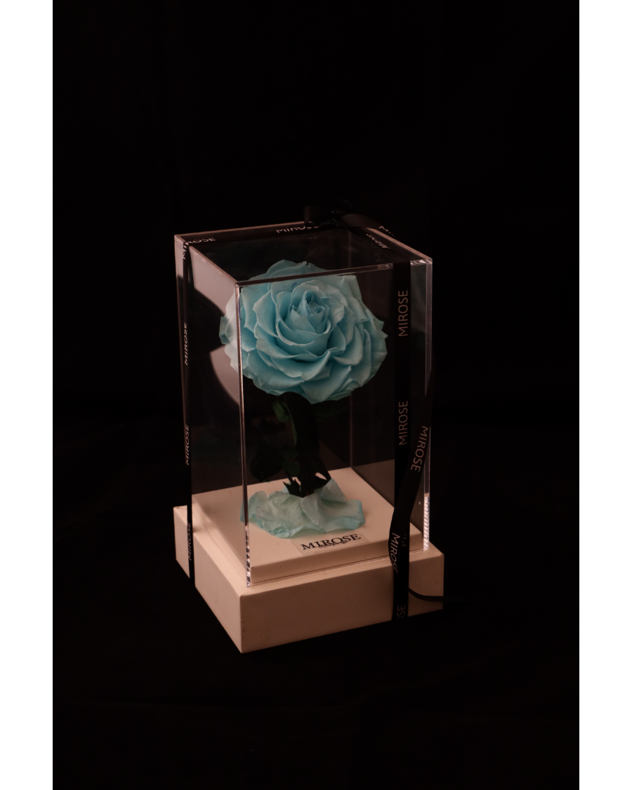 Mirose Eternal Rose Tiffany La Belle Plexi Box