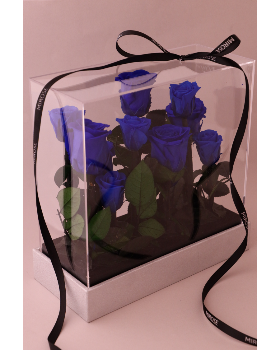 Mirose Eternal Rose Medium Royal Blue Garden Plexi