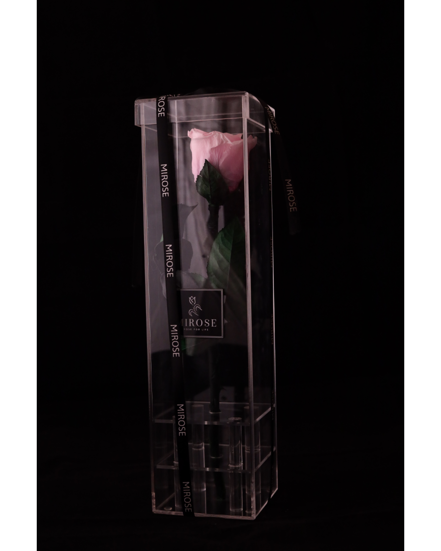 Mirose Eternal Rose Pink Long Plexi
