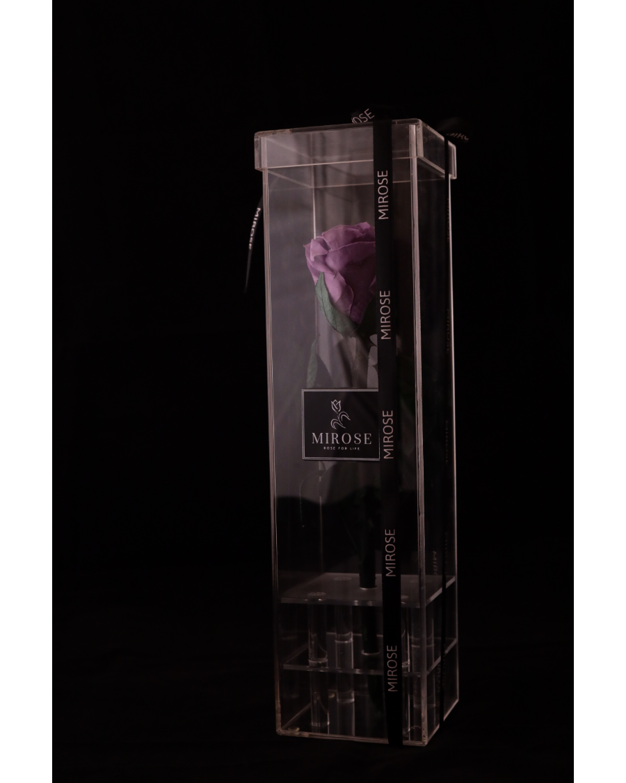 Mirose Eternal Rose Dark Purple Long Plexi