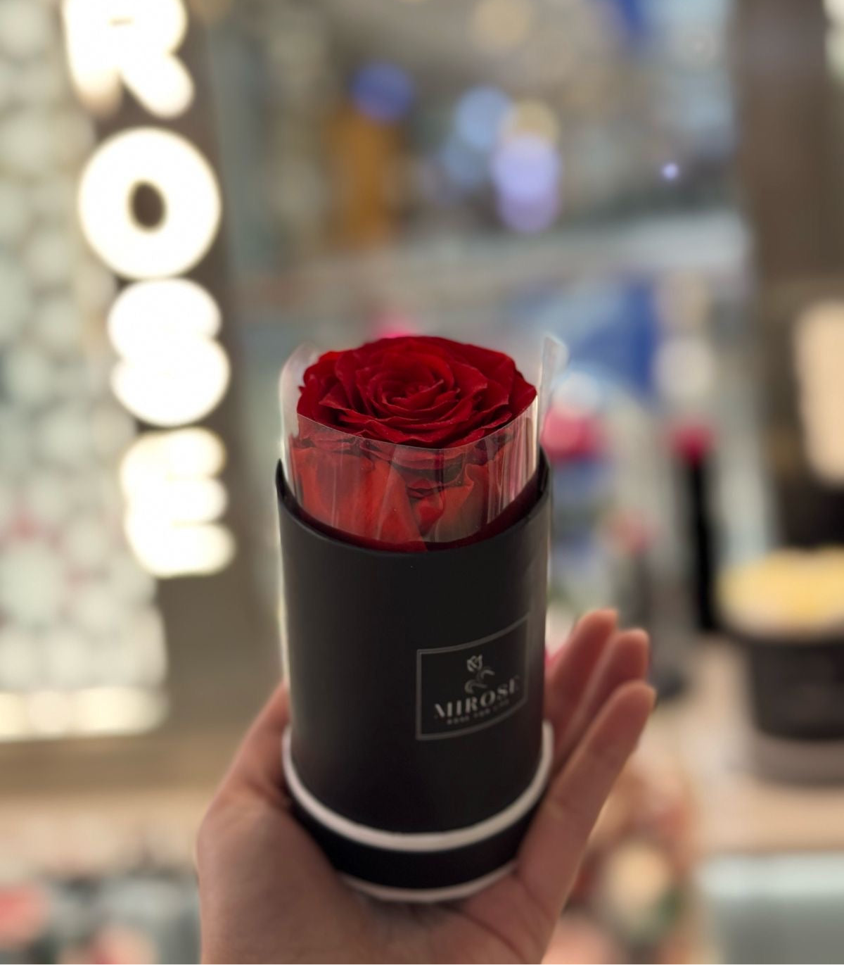 Round Mini Box RED Mirose Eternal Rose