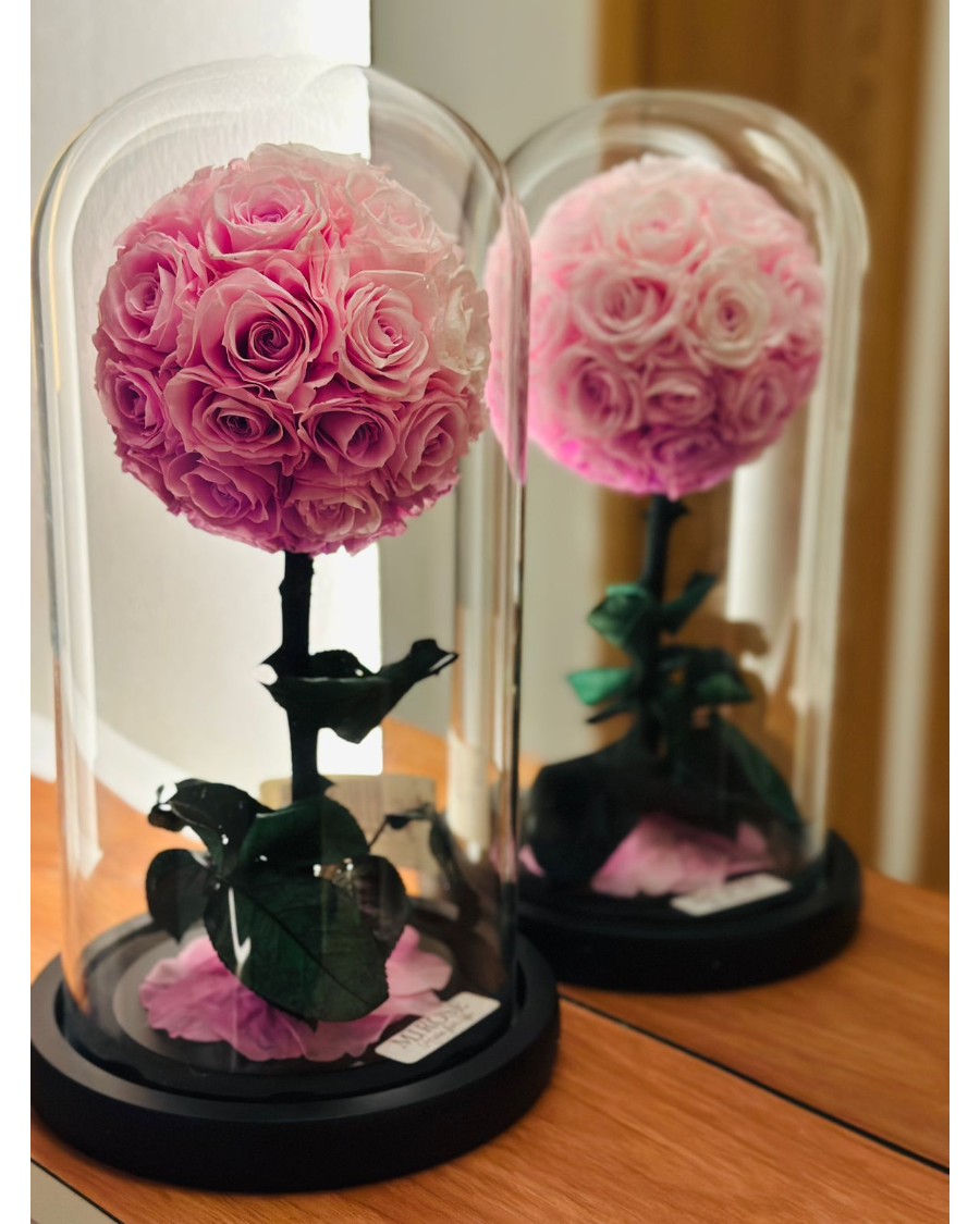 Mirose Eternal Rose Pink My World