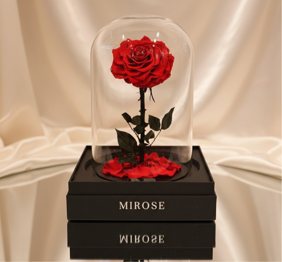 GIANT LA BELLE ROSE RED