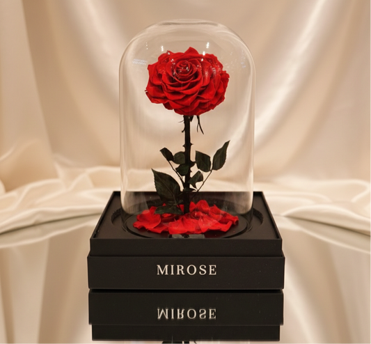 GIANT LA BELLE ROSE RED