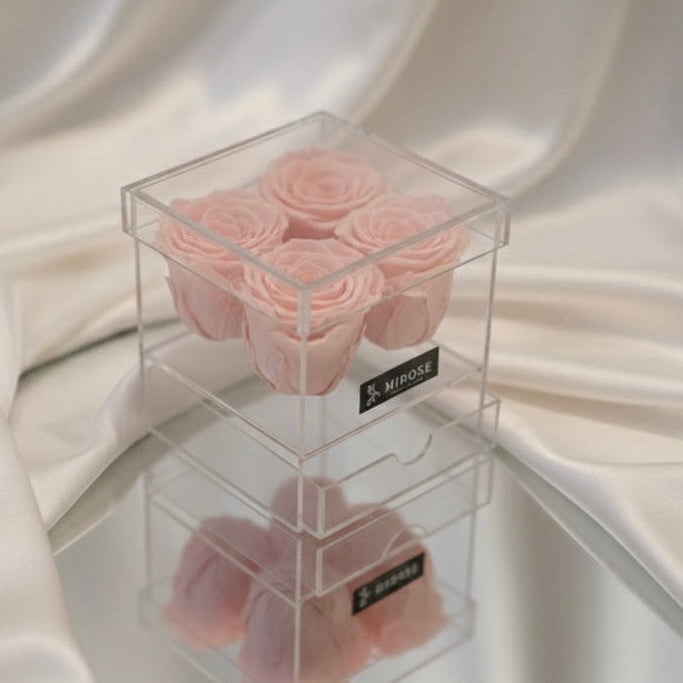 PLEXI 4 ROSES