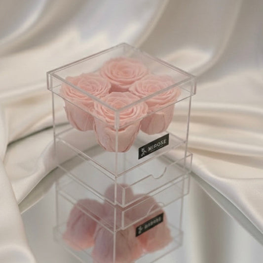PLEXI 4 ROSES