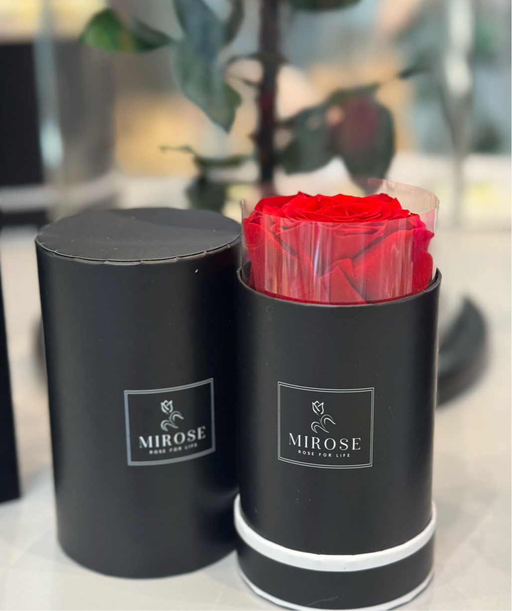 Round Mini Box RED Mirose Eternal Rose