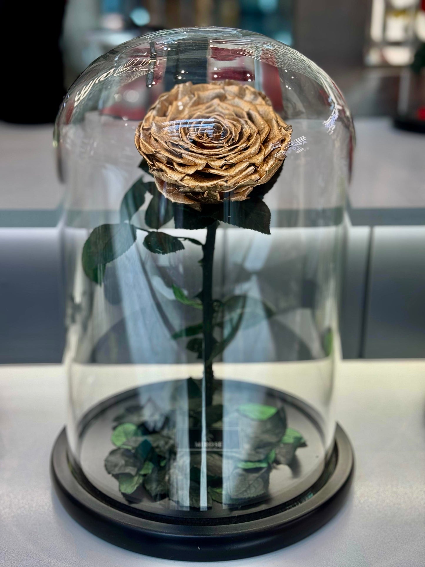 Gold giant la belle rose