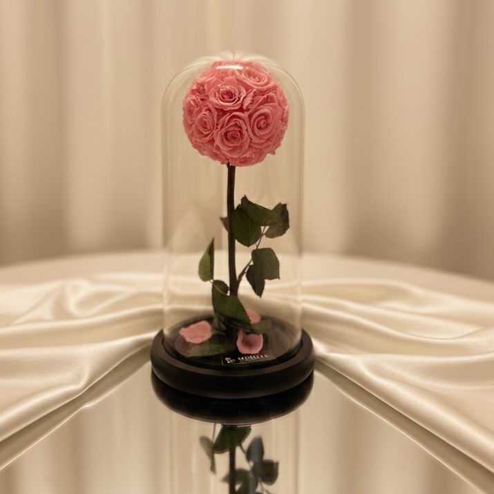 MY WORD LA BELLE ROSE