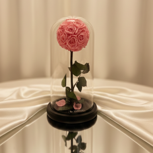 MY WORD LA BELLE ROSE