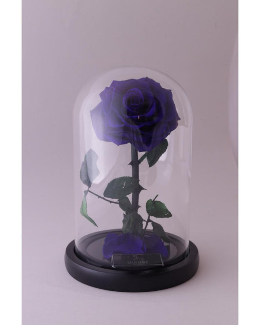Mirose Eternal Rose Royal Blue La Belle Rose