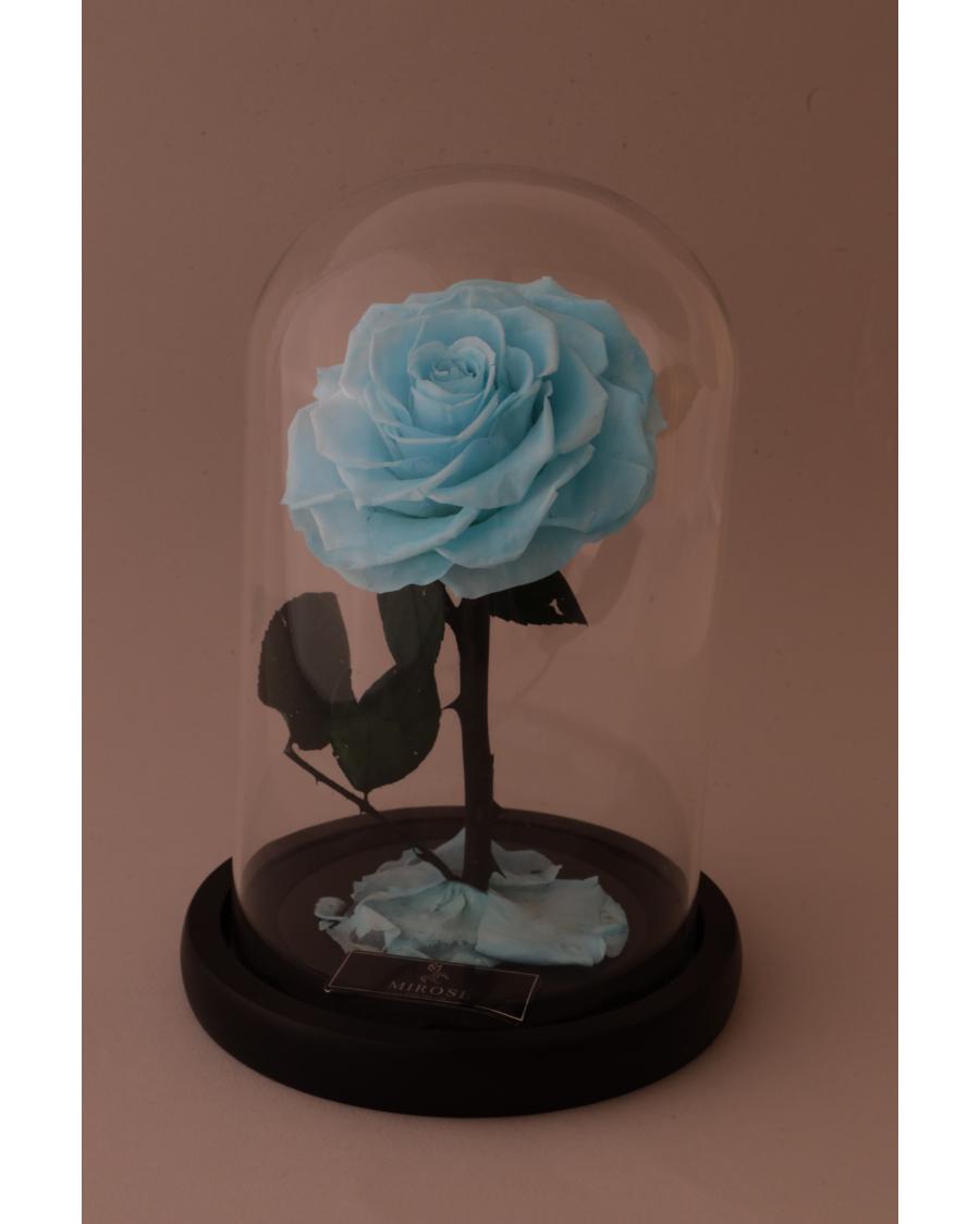 Mirose Eternal Rose Tiffany La Belle Rose