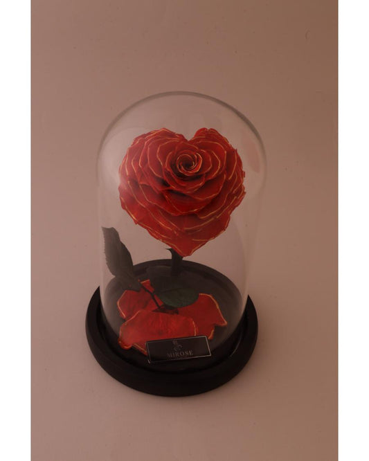 Mirose Eternal Rose Golden Heart La belle Red