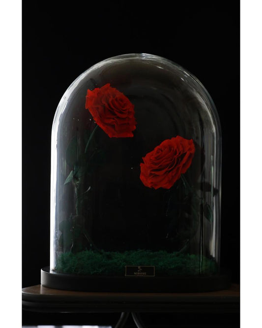 Mirose Eternal Rose Red Twin Love
