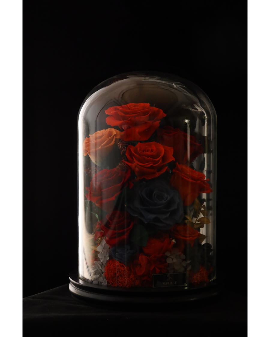 Mirose Eternal Rose Garden La Belle Rose Red