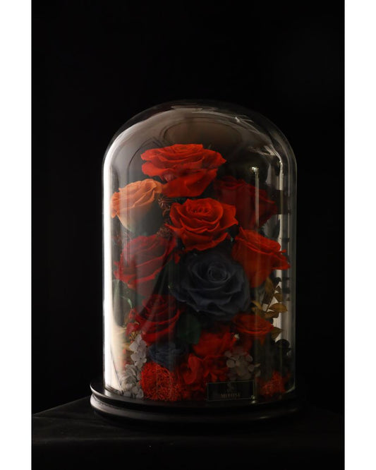 Mirose Eternal Rose Garden La Belle Rose Red