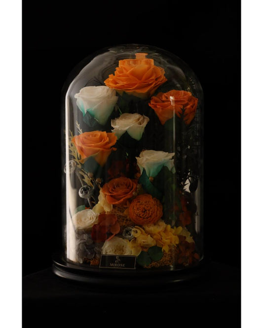 Mirose Eternal Rose Garden La Belle Rose Orange