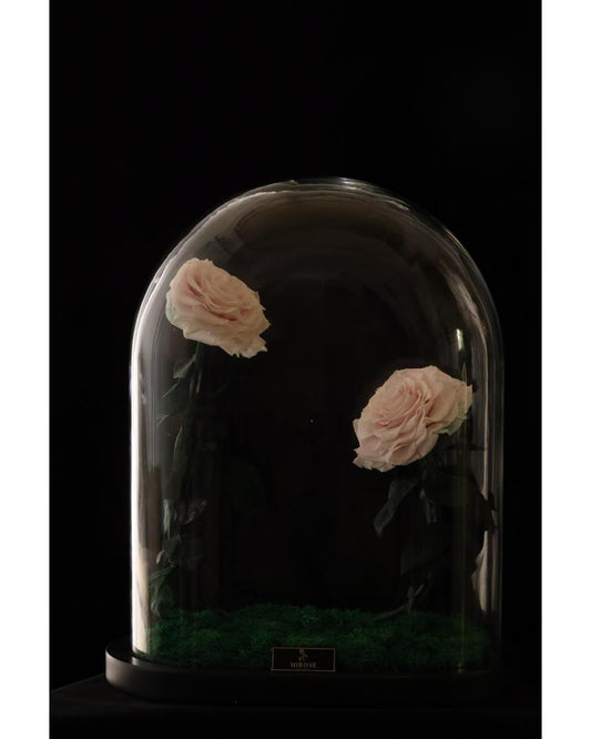 Mirose Eternal Rose Light Pink Twin Love
