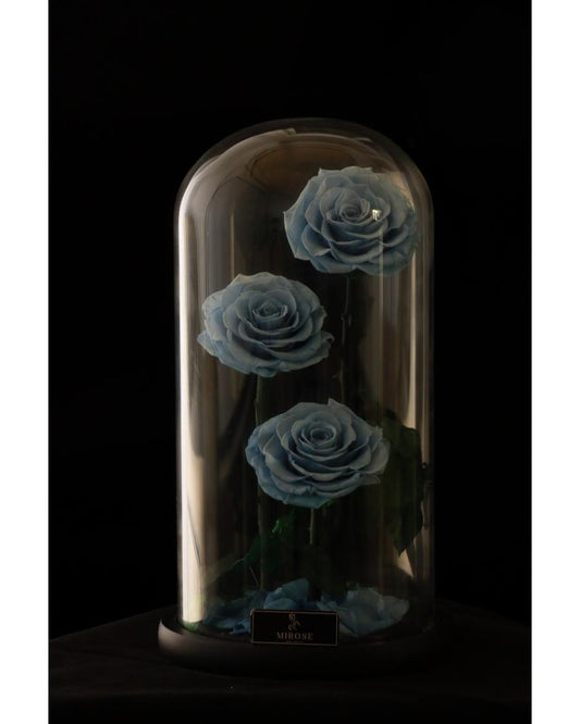 Mirose Eternal Rose Dusty Blue Enchanted La Belle Rose