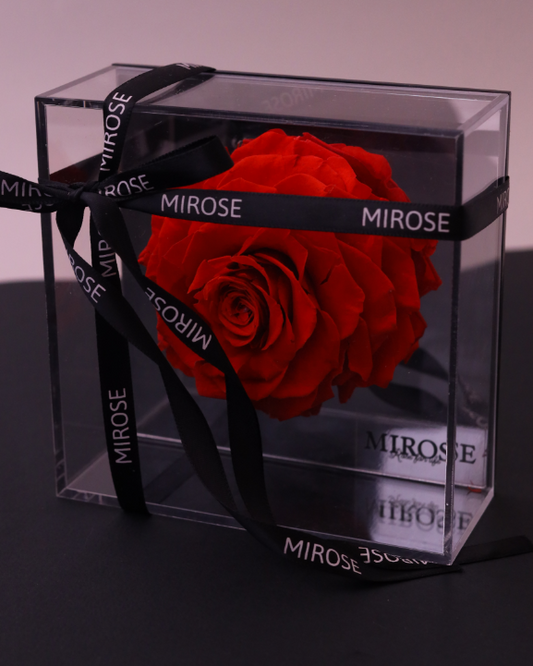 Mirose Eternal Rose Red Mirror Box