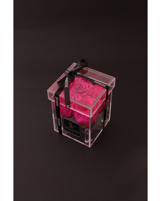 Mirose Eternal Rose 4 Roses Plexi