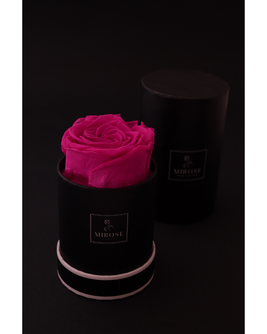 Mirose Eternal Rose Fuschia Round Mini Box