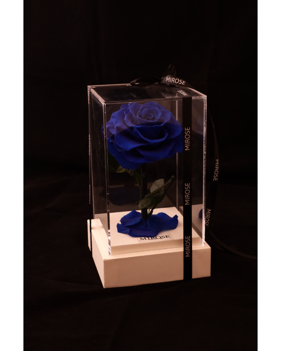 Mirose Eternal Rose Royal Blue La Belle Plexi Box