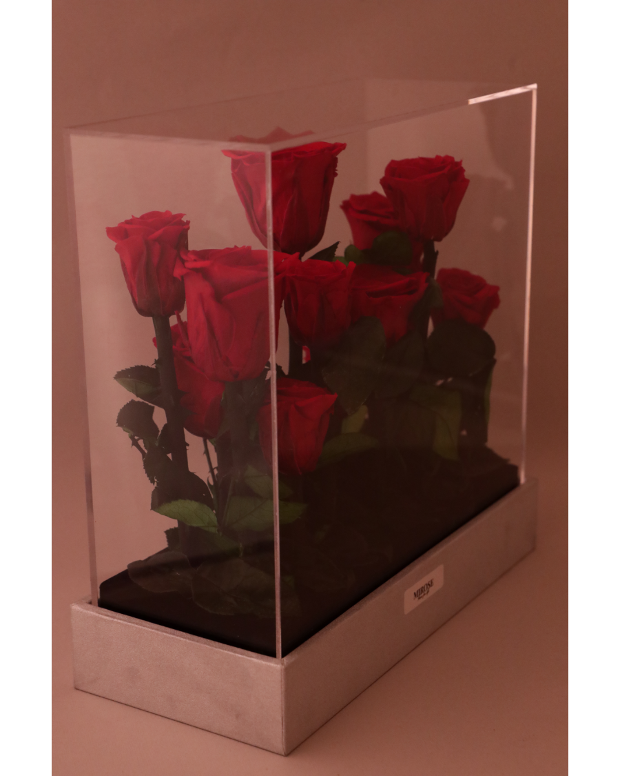 Mirose Eternal Rose Red Garden Plexi