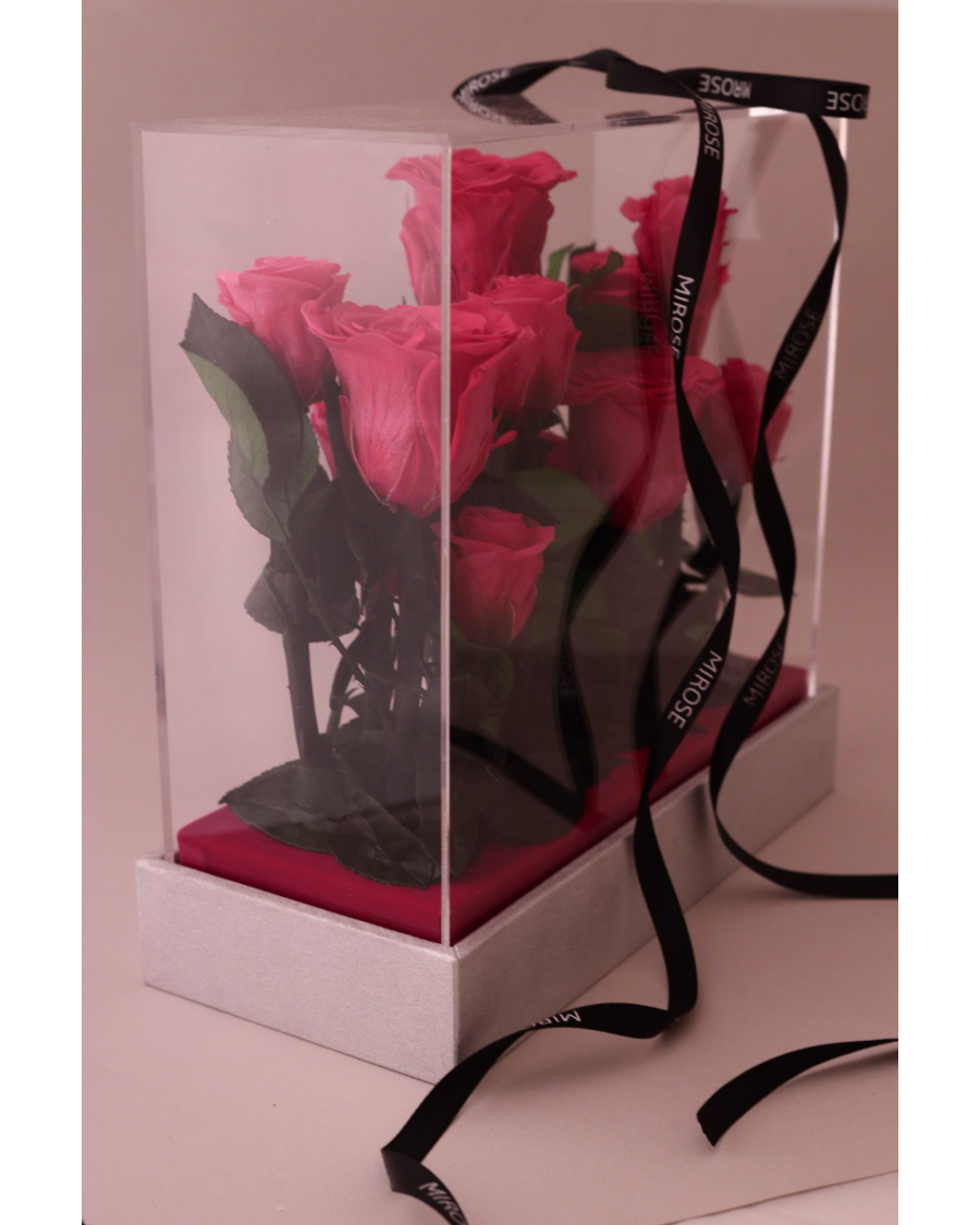 Mirose Eternal Rose Pink Garden Plexi