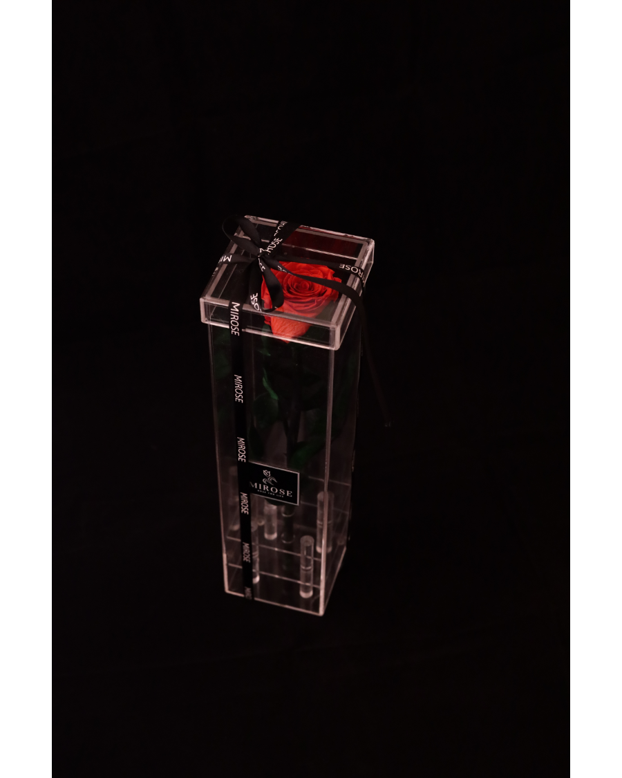 Mirose Eternal Rose Red Long Plexi