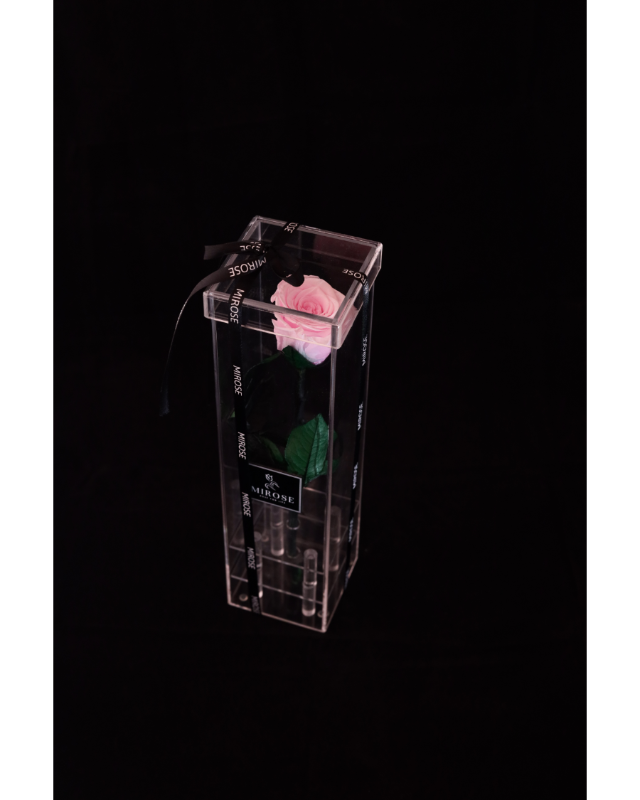 Mirose Eternal Rose Pink Long Plexi