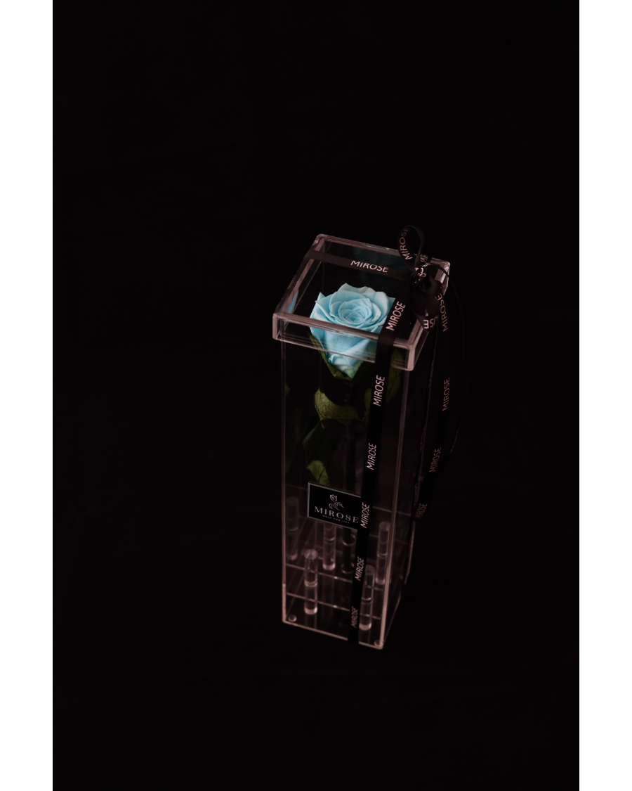 Mirose Eternal Rose Tiffany Long Plexi