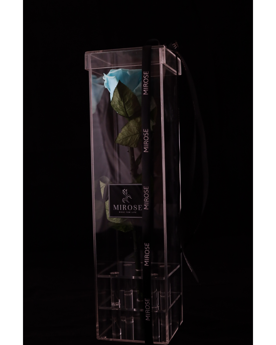 Mirose Eternal Rose Tiffany Long Plexi