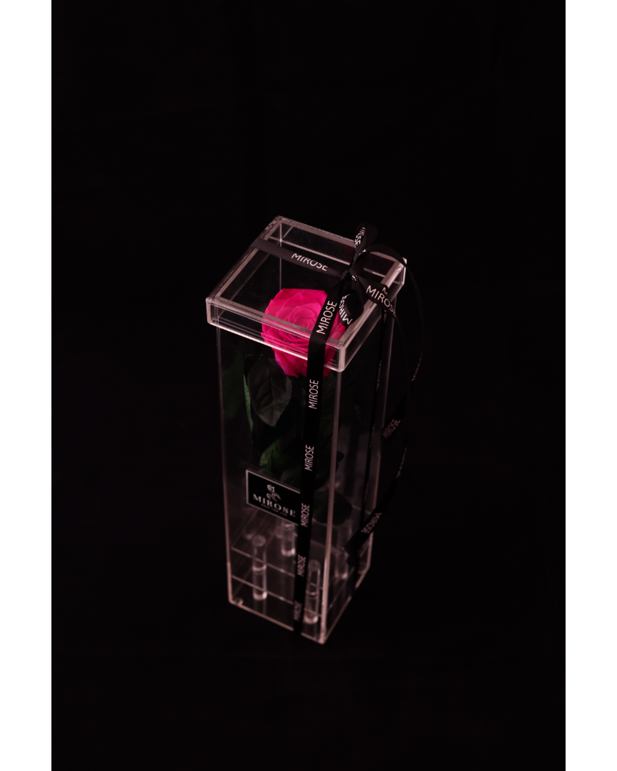 Mirose Eternal Rose Fuschia Long Plexi