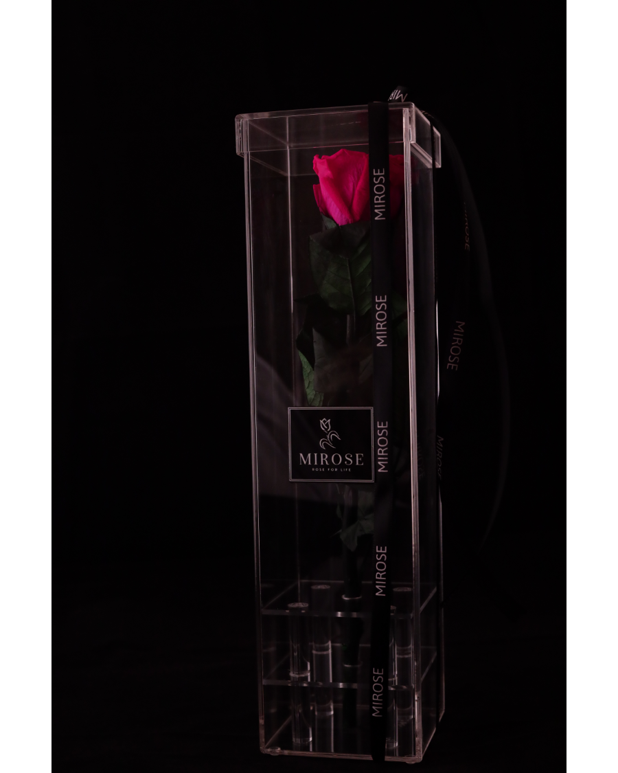 Mirose Eternal Rose Fuschia Long Plexi