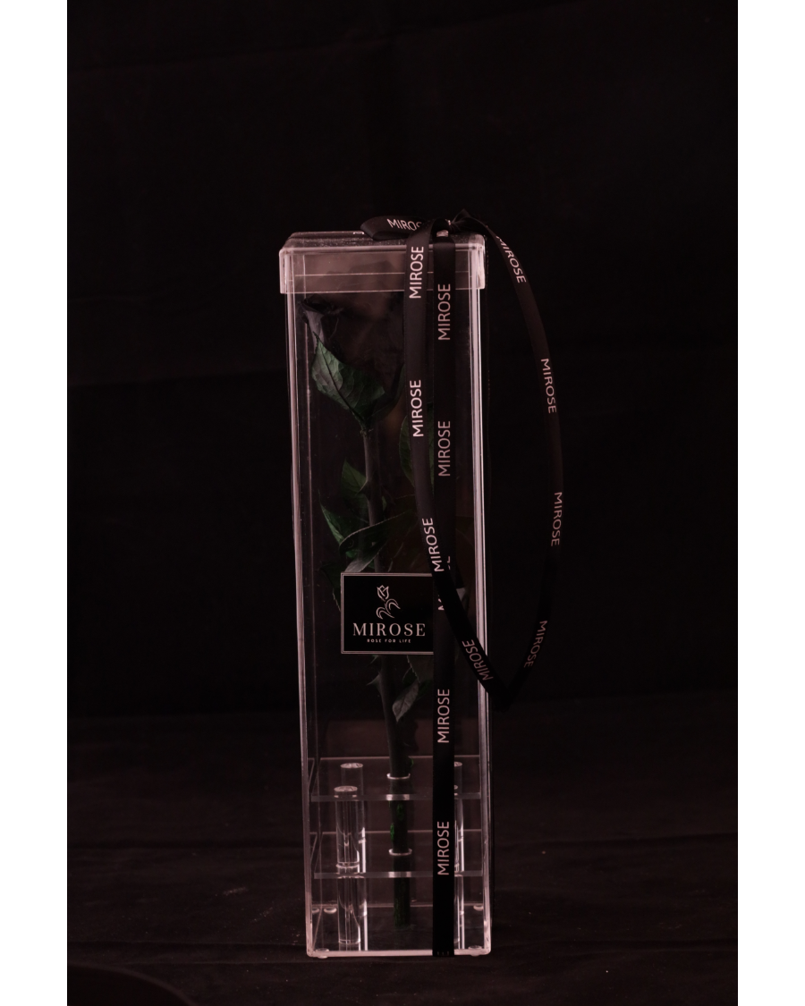 Mirose Eternal Rose Black Long Plexi