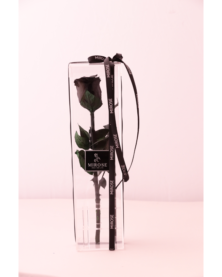 Mirose Eternal Rose Black Long Plexi