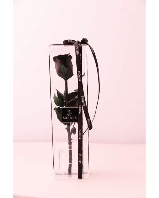 Mirose Eternal Rose Black Long Plexi