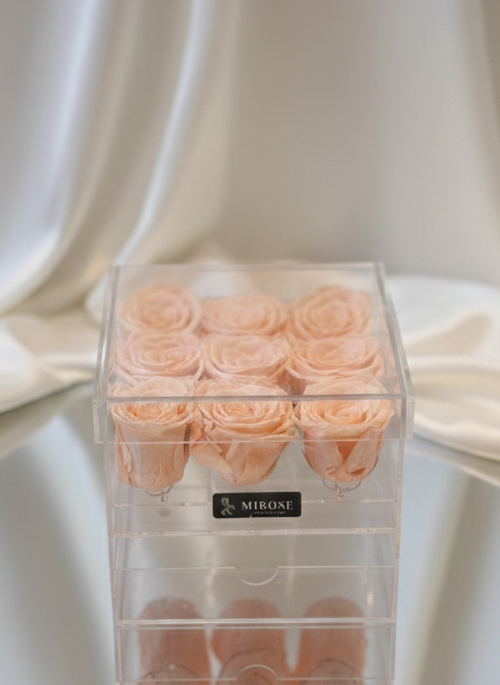 PLEXI 9 ROSES