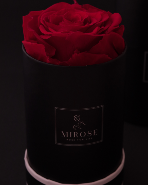 Round Mini Box RED Mirose Eternal Rose