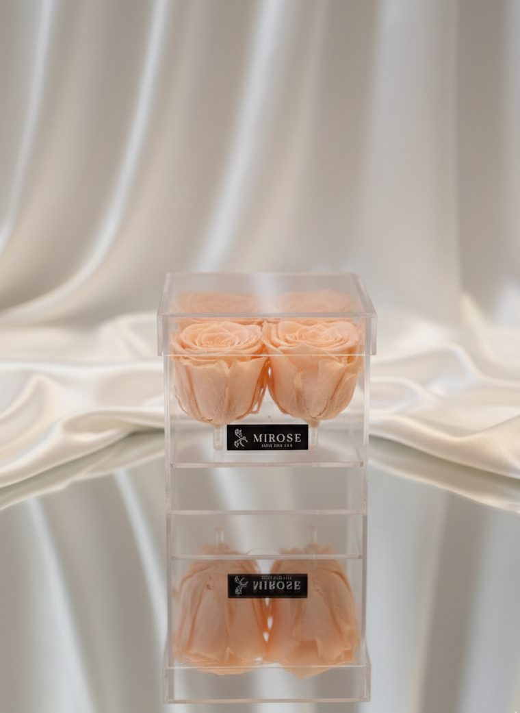 PLEXI 4 ROSES