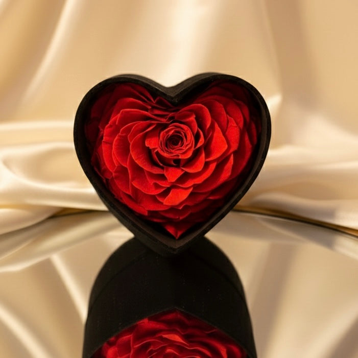 VELVET HEART FOREVER ROSE