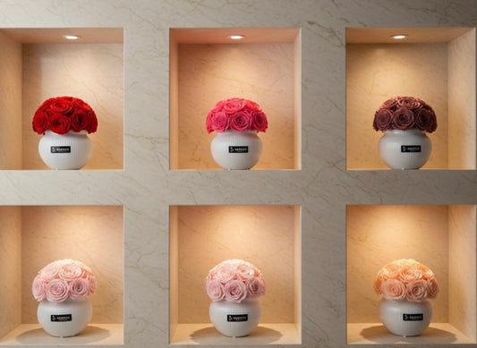 Medium DOMEHEAD 14-15 roses