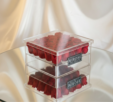 PLEXI MEDIUM 25 FOREVER ROSE