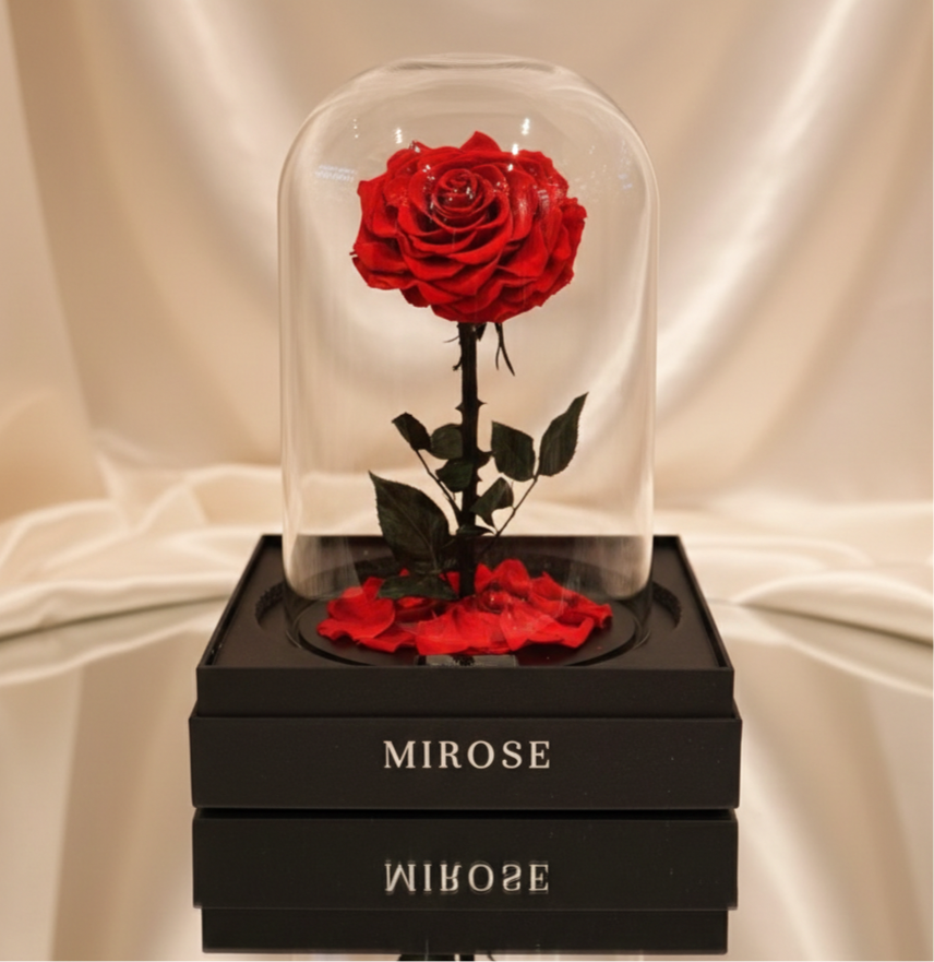 GIANT LA BELLE ROSE RED