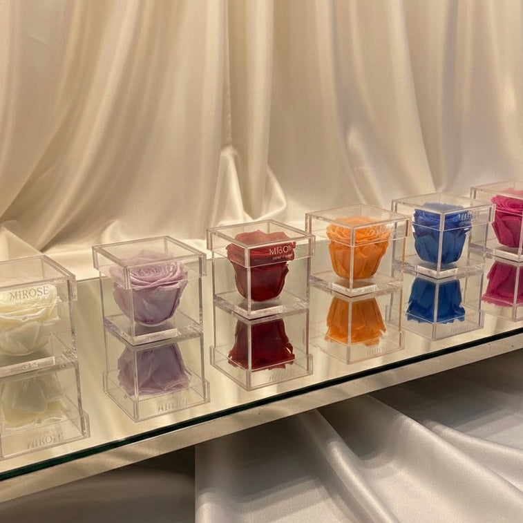 MINI PLEXI FOREVER ROSE